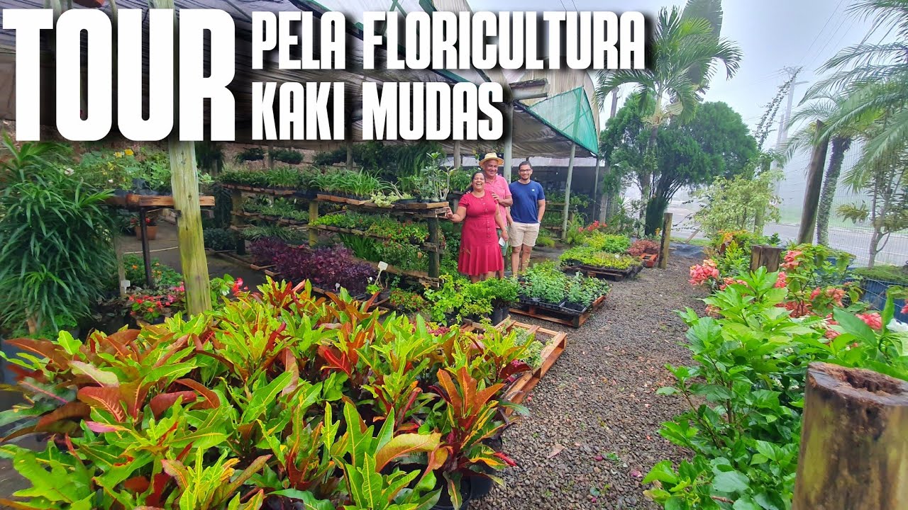TOUR PELA FLORICULTURA KAKI MUDAS PRÓXIMO À DOMINGOS MARTINS: PLANTAS DE VARIAS ESPÉCIES | FLORES