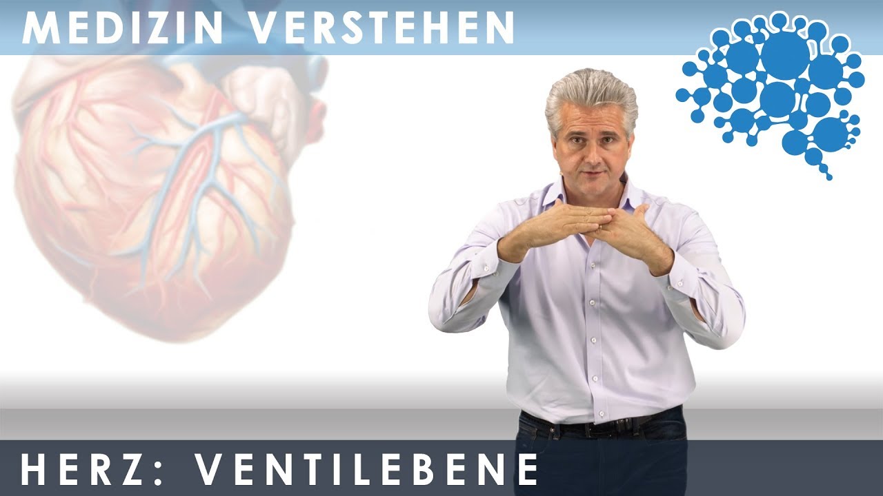 Füllung der Herzkammer - Superanschaulich │Dr. Dr. Damir del Monte│Encephalon Medizin-Videos