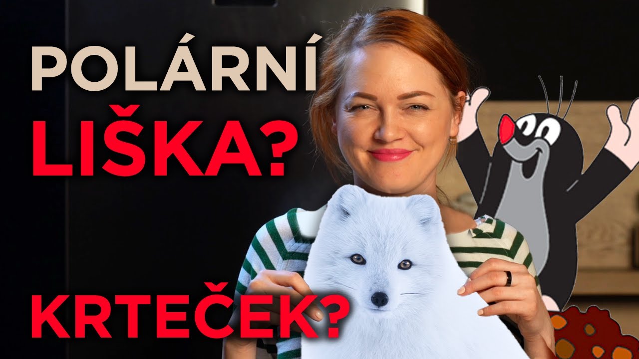 Jak chutná maso nevšedních zvířat?