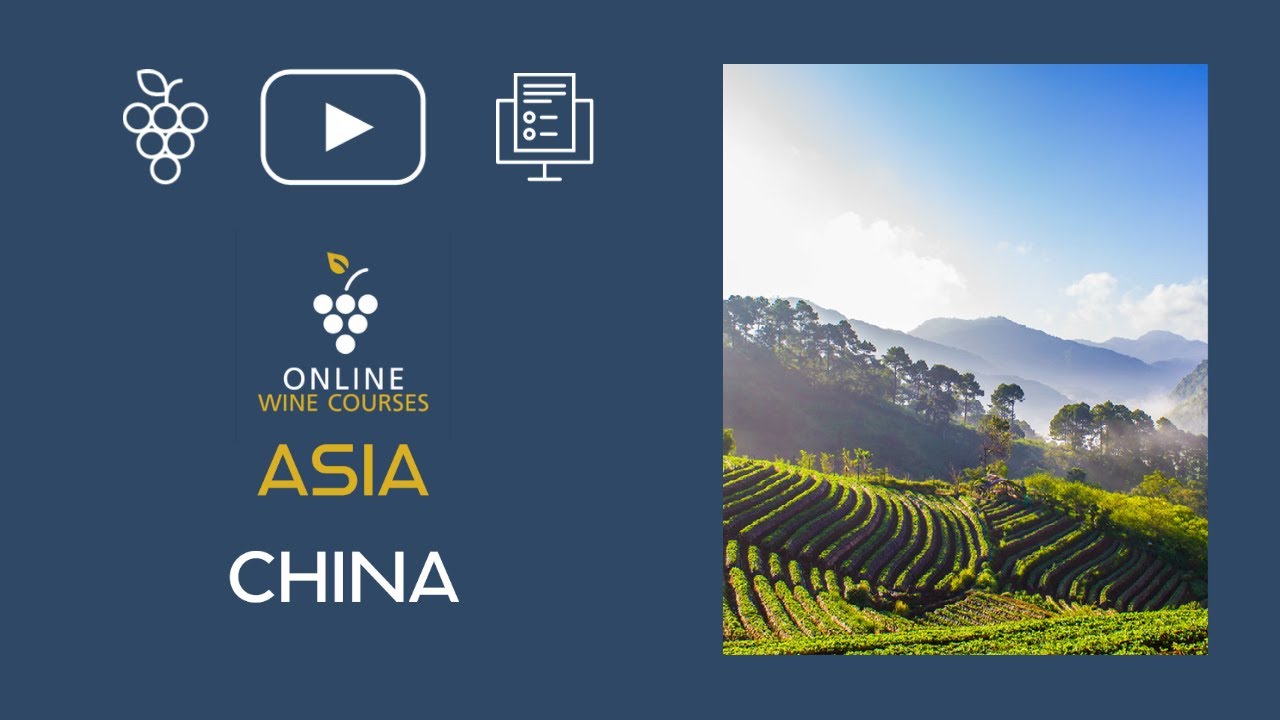 Wine Region of China 🍇 Online Wine Courses ➡️ with QUIZ