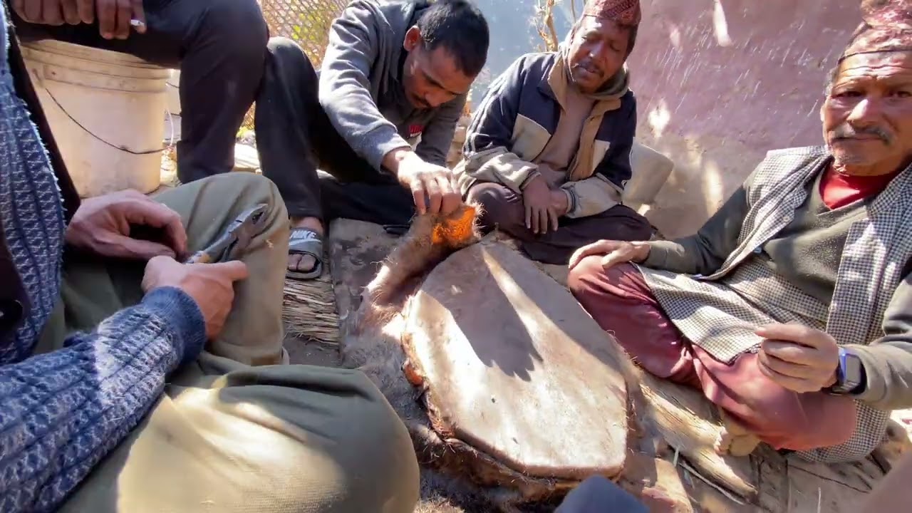 Jhakri ko Dhangro Mordai . Dhalen new vlog 