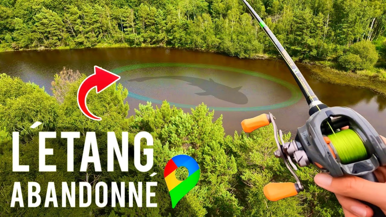 Cet étang abandonné cache une grosse surprise !! (pêche au leurre)