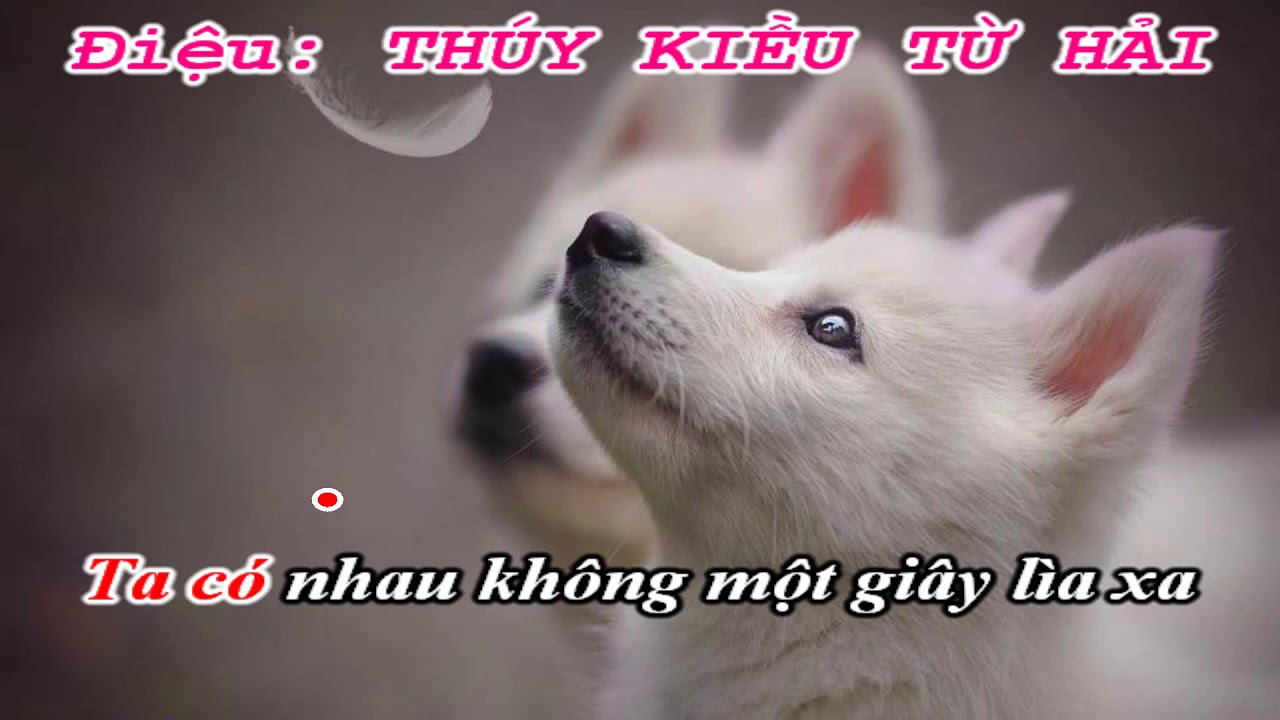 Karaoke Hồ Quảng Thúy Kiều Từ Hải