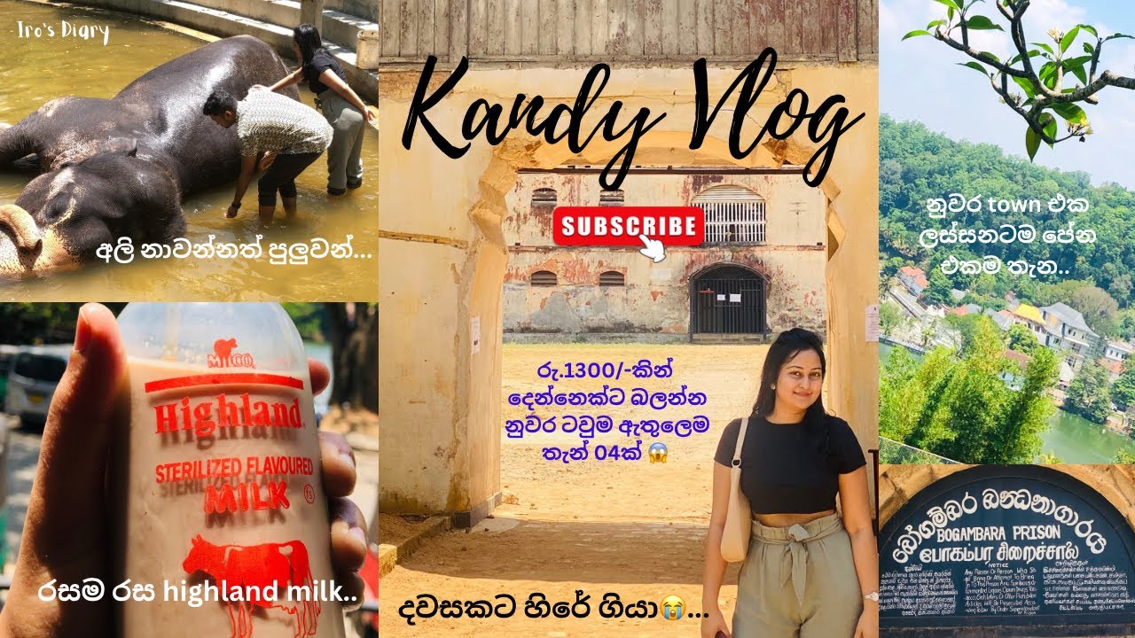 මාත් එක්ක නුවර වටේ රවුමක් යං 🥰 | Best Places to visit in Kandy | Kandy Selection | Kandy Vlog