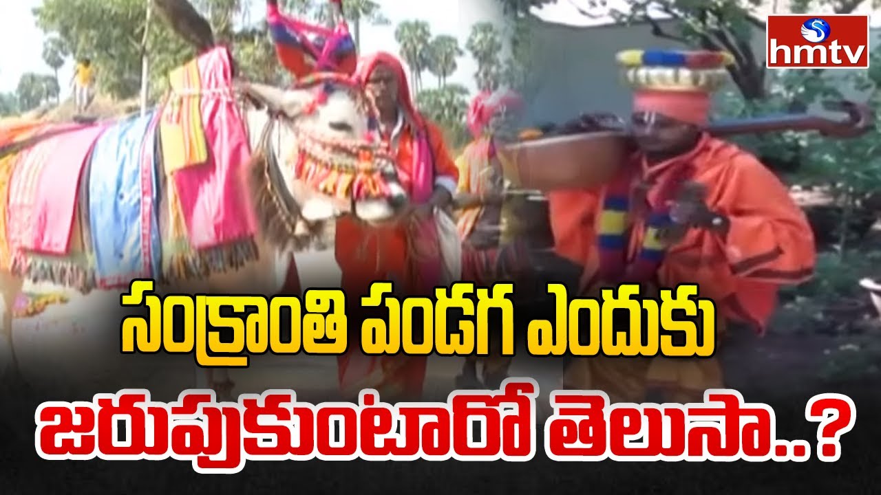 సంక్రాంతి పండగ ఎందుకు జరుపుకుంటారో తెలుసా..? History of Makar Sankranti | Sankranthi Facts | hmtv