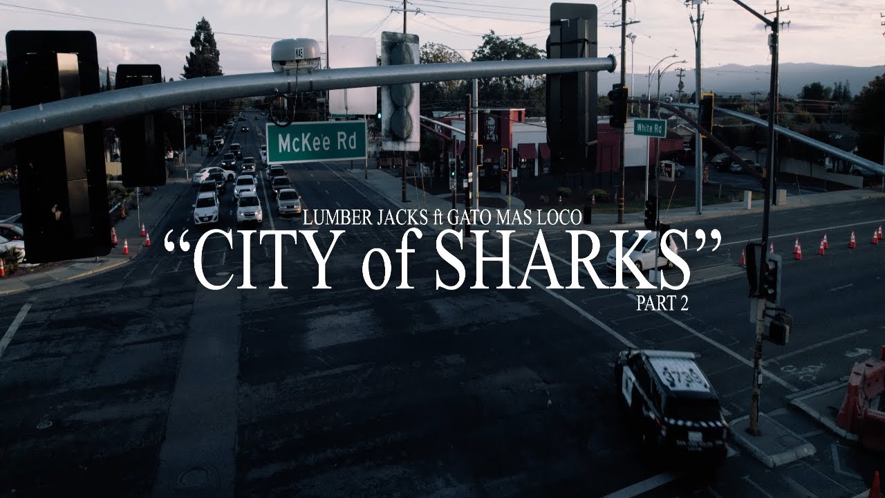 Lumberjack x Gato Mas Loco - CITY OF SHARKS PT 2 (Official Music Video) Dir by Thomas King