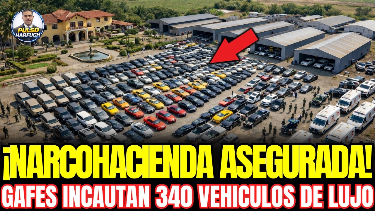 ¡SE CAYO EL RANCHO en MICHOACÁN! GAFES ASEGURAN HACIENDA con 340 VEHÍCULOS Lujo Decomisados