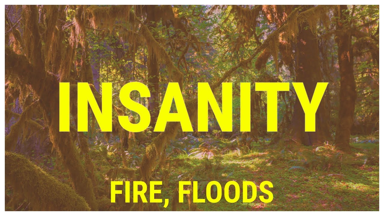 Insanity, Fire, Floods in my Survival Roguelike | Godot Devlog