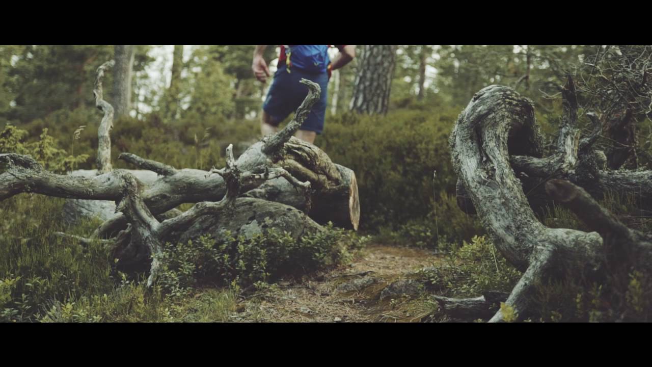 Trailrunning Sweden Edsleskog