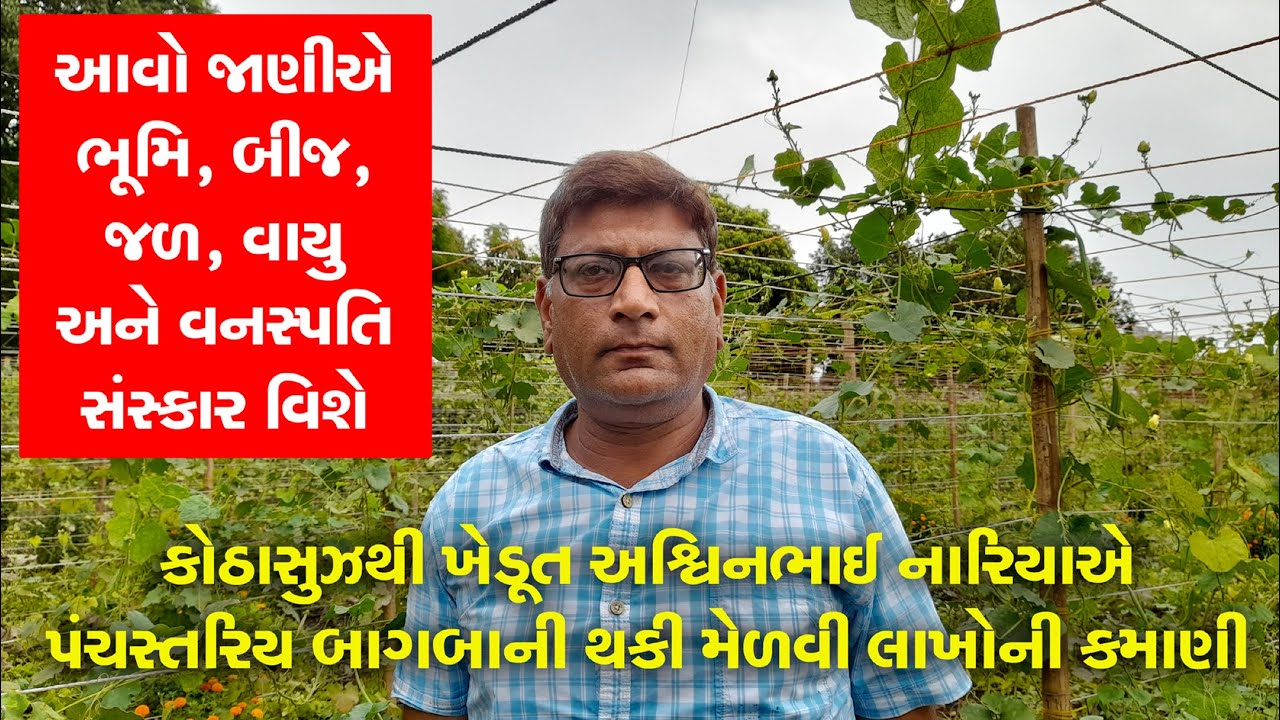 Multilayer Farming | પંચસ્તરિય બાગબાની | ભૂમિ, બીજ, વનસ્પતિ, વાયુ અને જળ સંસ્કાર વિશેની માહિતી |