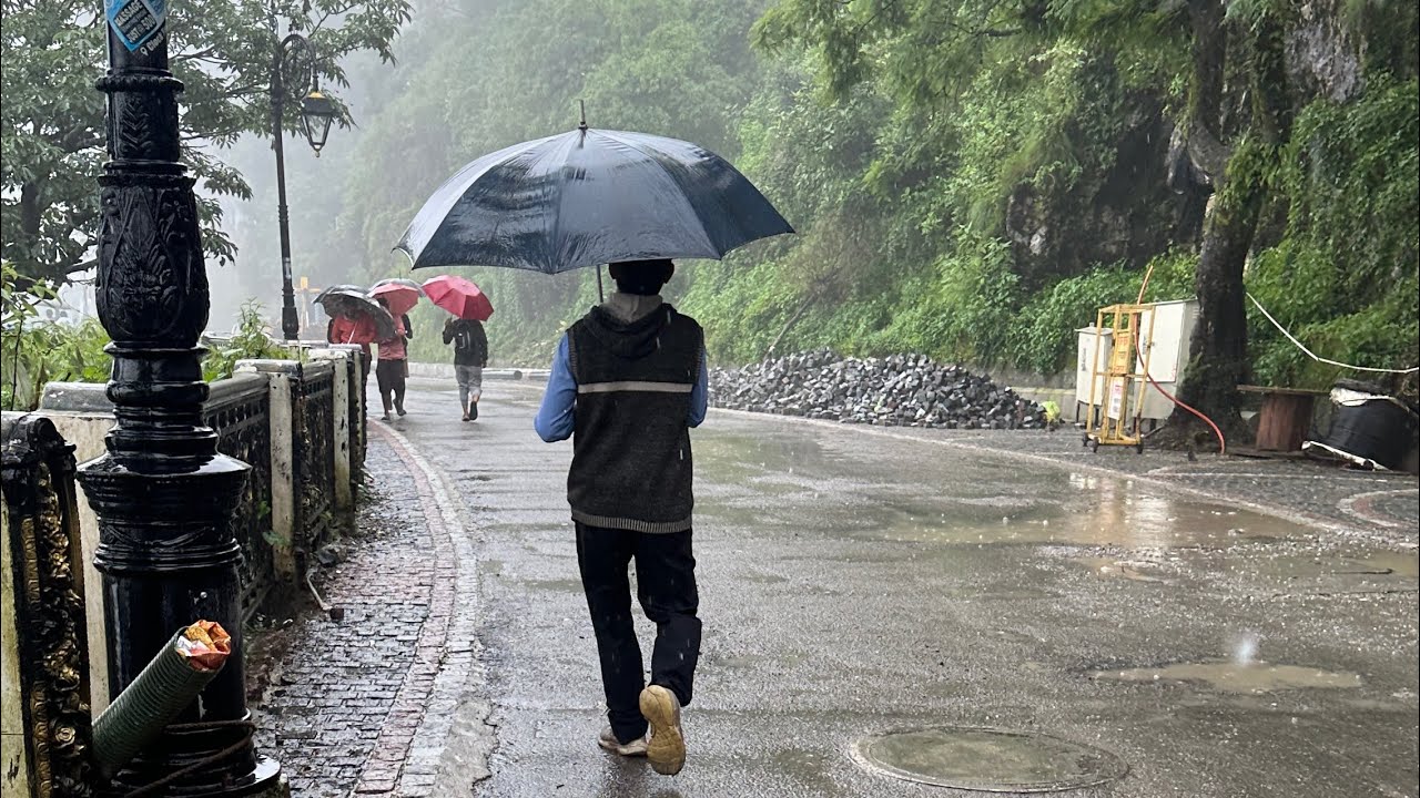 Walking in rain in Mussoorie 2023 #rain #mussoorie #dehradun #trending #viral #viralvideos #insta