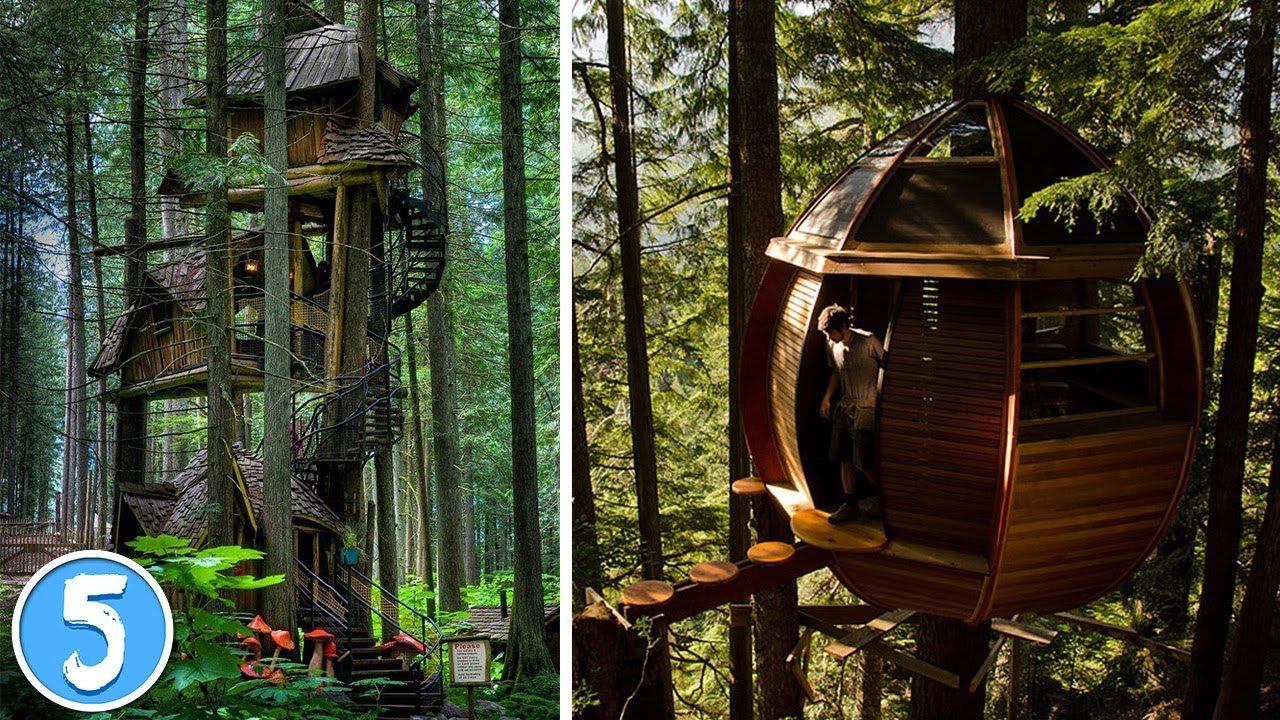 5 CASE SULL'ALBERO PIU' BELLE DEL MONDO!!