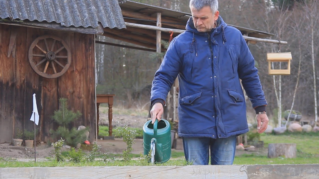 Simple Living in the Woods: Wooden Hut Renovation, Hot Water, and Home Makeover