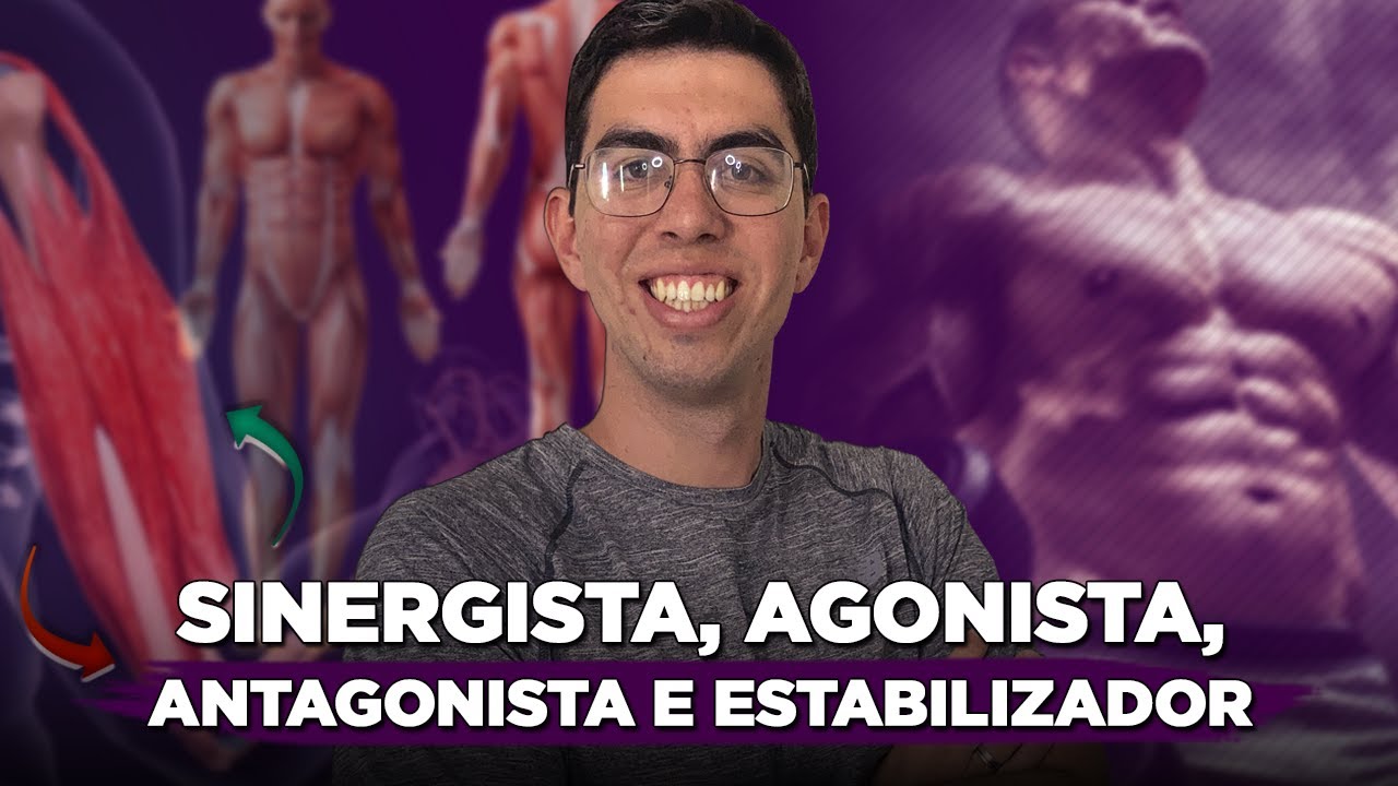 M&uacute;sculo sinergista, agonista, antagonista e estabilizador