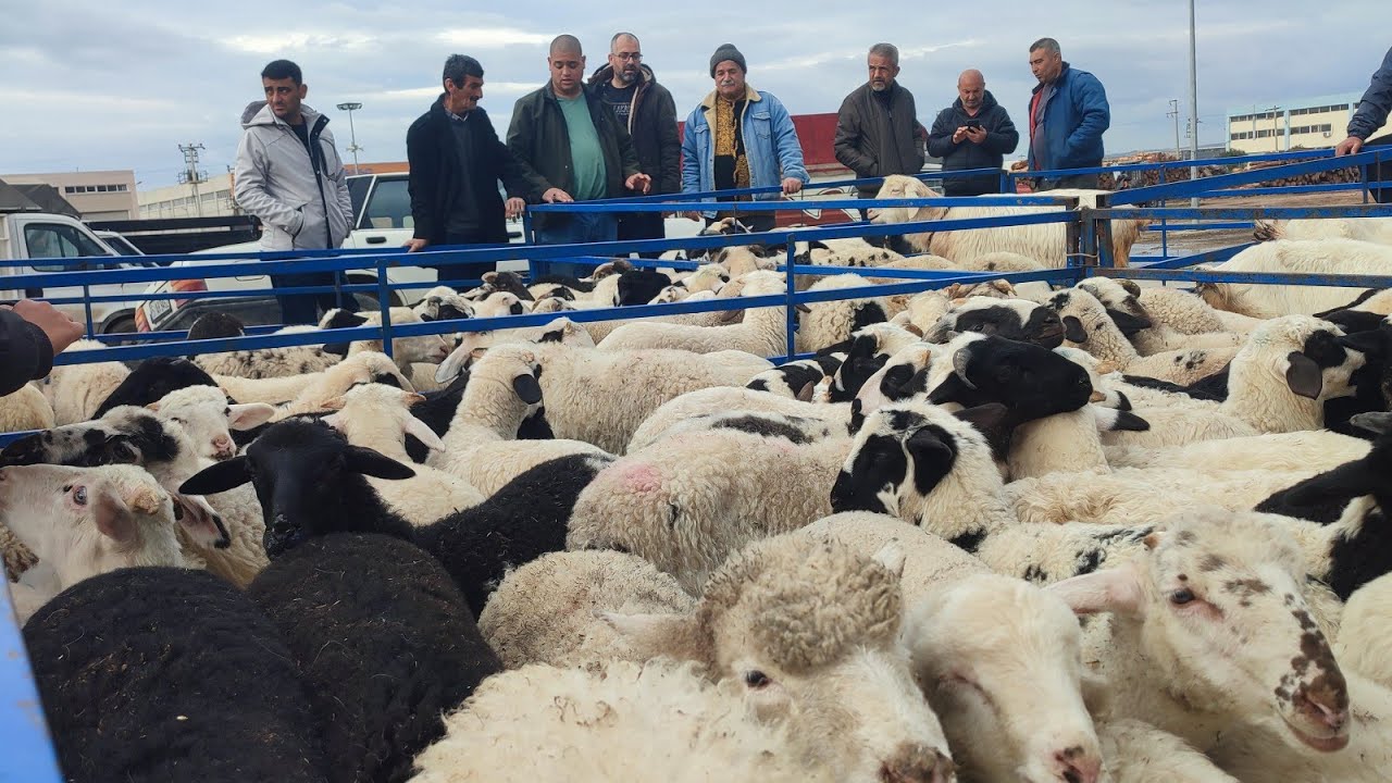 BU PAZAR TÜRKİYE'NİN EN HIZLI PAZARI.