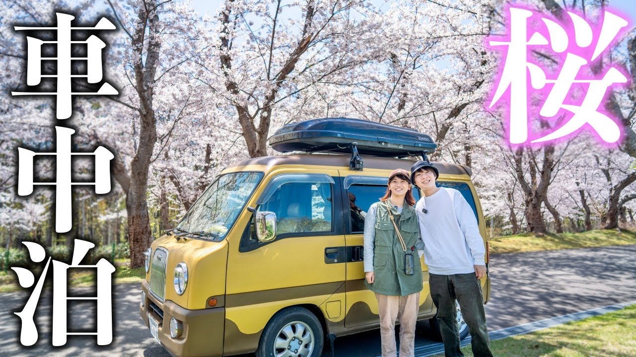 Весенний автокемпинг, чтобы насладиться цветением сакуры 🌸