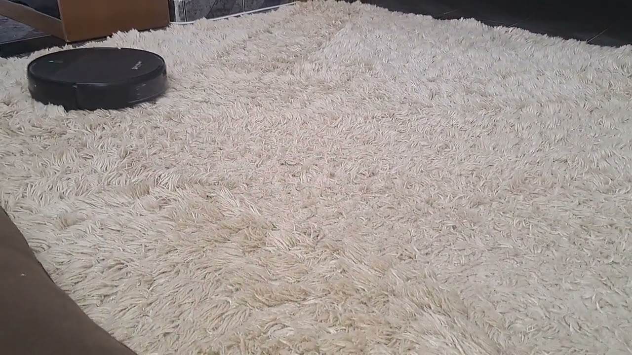 Como limpar tapete ,ROBO ASPIRADOR  trabalhando pra valer .