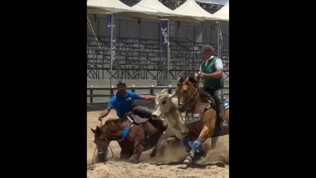 VEJA ACONTECEU COM ROXINHO#amaquina