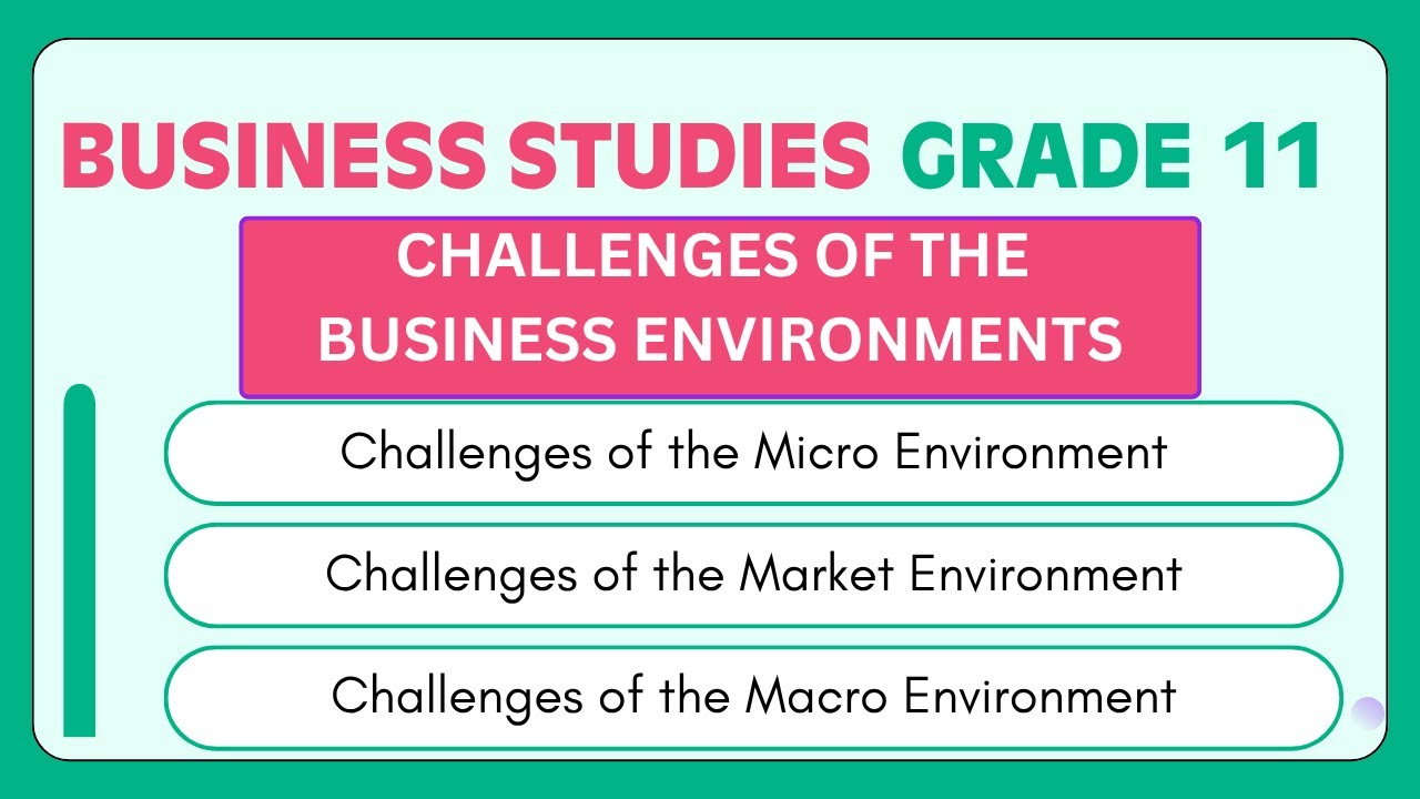 Business Studies Grade 11 | Challenges of the business environment