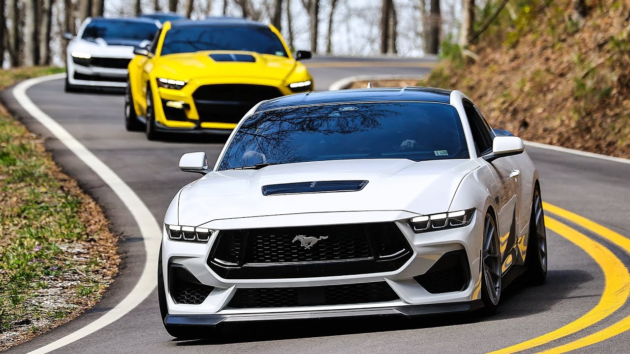 Pushing the LIMITS with My Whipple S650 Mustang on Tail of Dragon!!