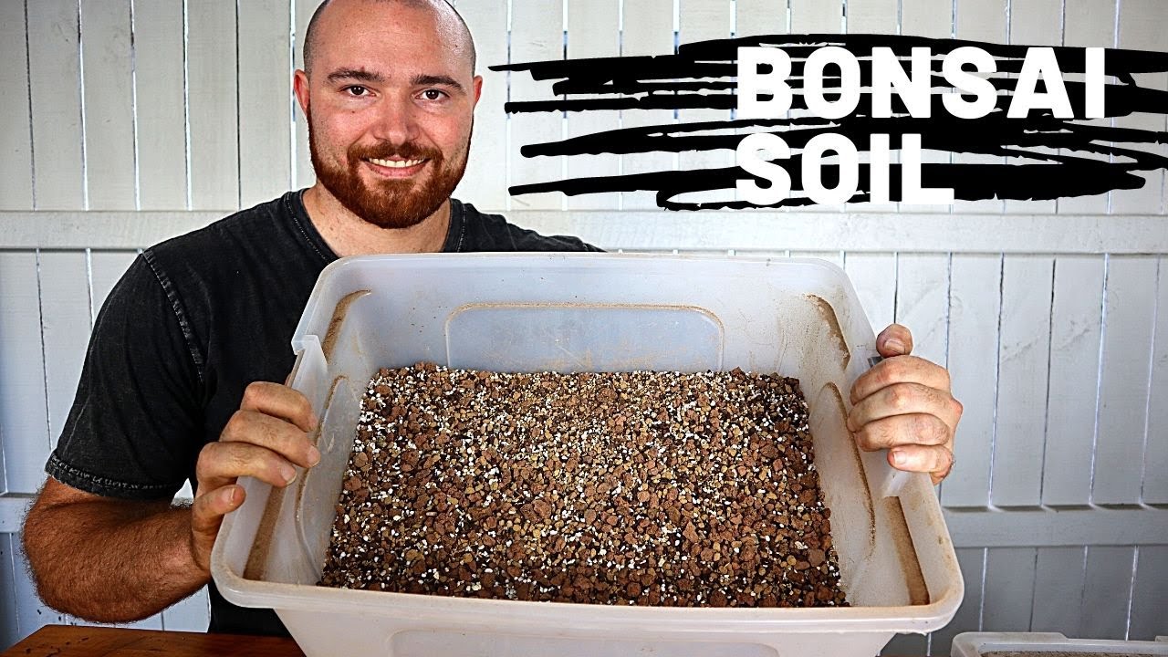 Bonsai Soil Mix | DIY Bonsai Soil at Home