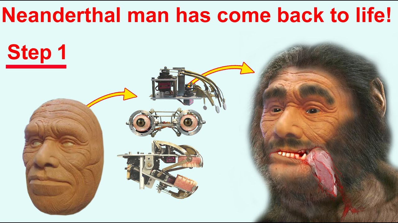 For Archaeological Museum -  Animatronics