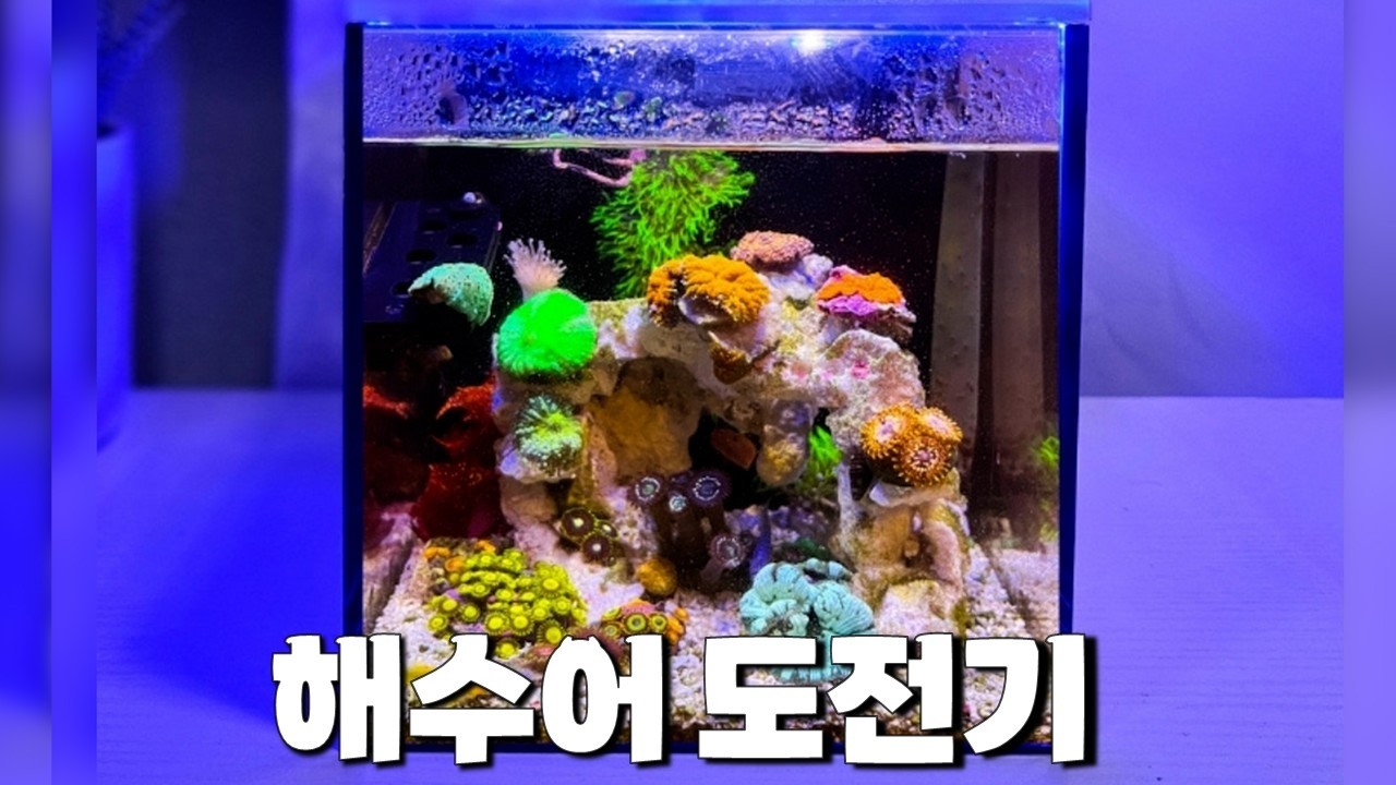 바닷물고기는 처음인데요.. 큰맘 먹고 도전합니다 [ep0 해수어항도전기]