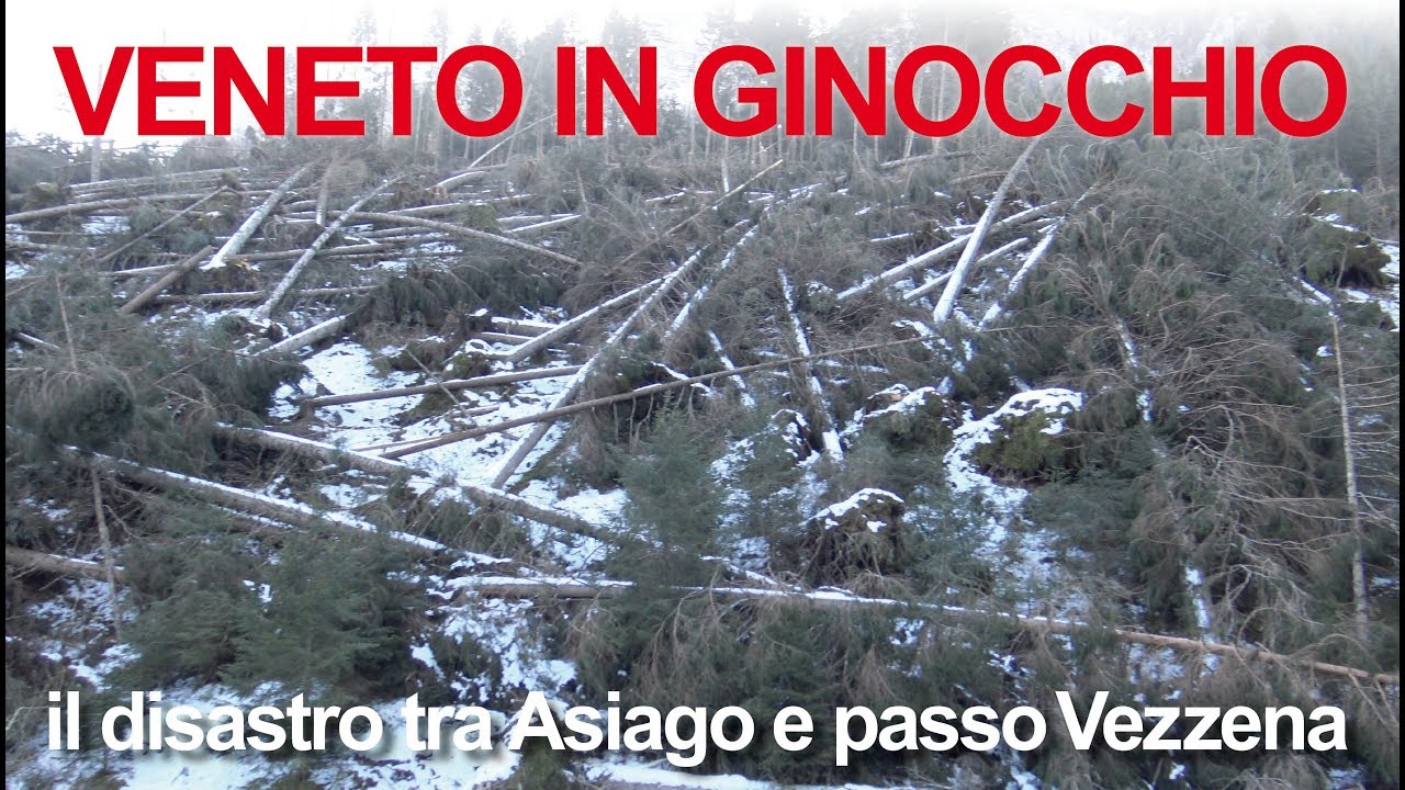 TEMPESTA VAIA: VENETO IN GINOCCHIO