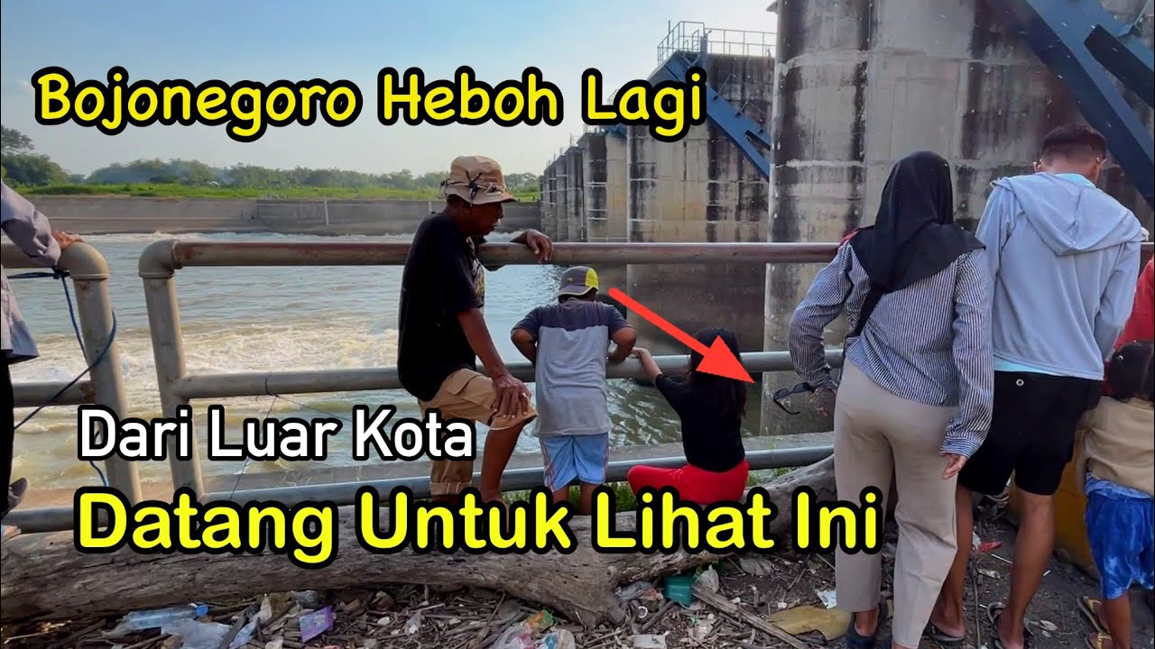 Warga Bojonegoro Heboh Dengan Fenomena Unik Bengawan Solo Di Bendung Gerak Jelang Kemarau