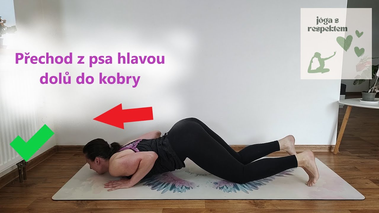 Přechod z psa hlavou dolů (střechy) do kobry přes píďalku (pozici osmi bodů)