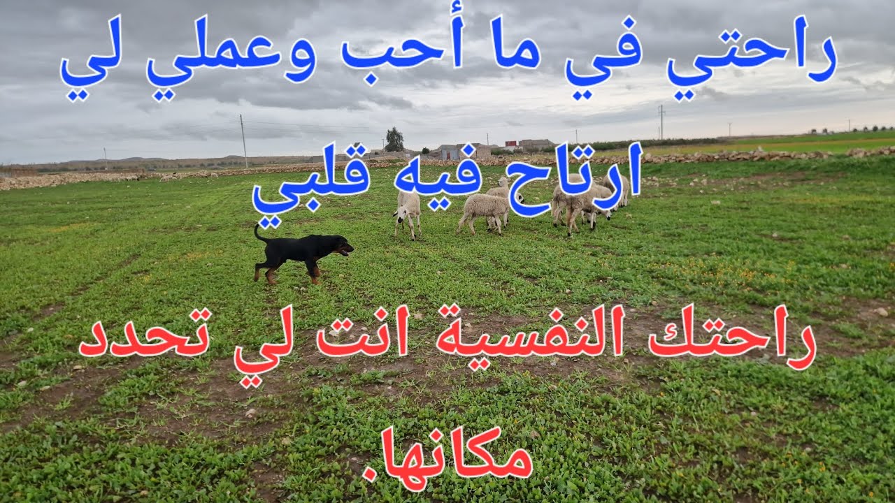 الحلقة 752.🌹🇲🇦❤️🌱 عمرك ترتاح إذا ما عرفتي شنو بغات نفسك و روحك و فين كتلقى راحتك بالضبط .