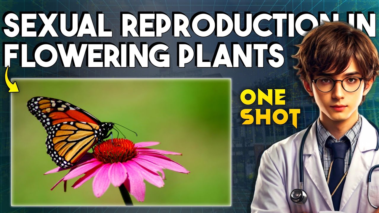SEXUAL REPRODUCTION IN FLOWERING PLANTS CLASS 12 | BIOLOGY ONE SHOT NEET 2025