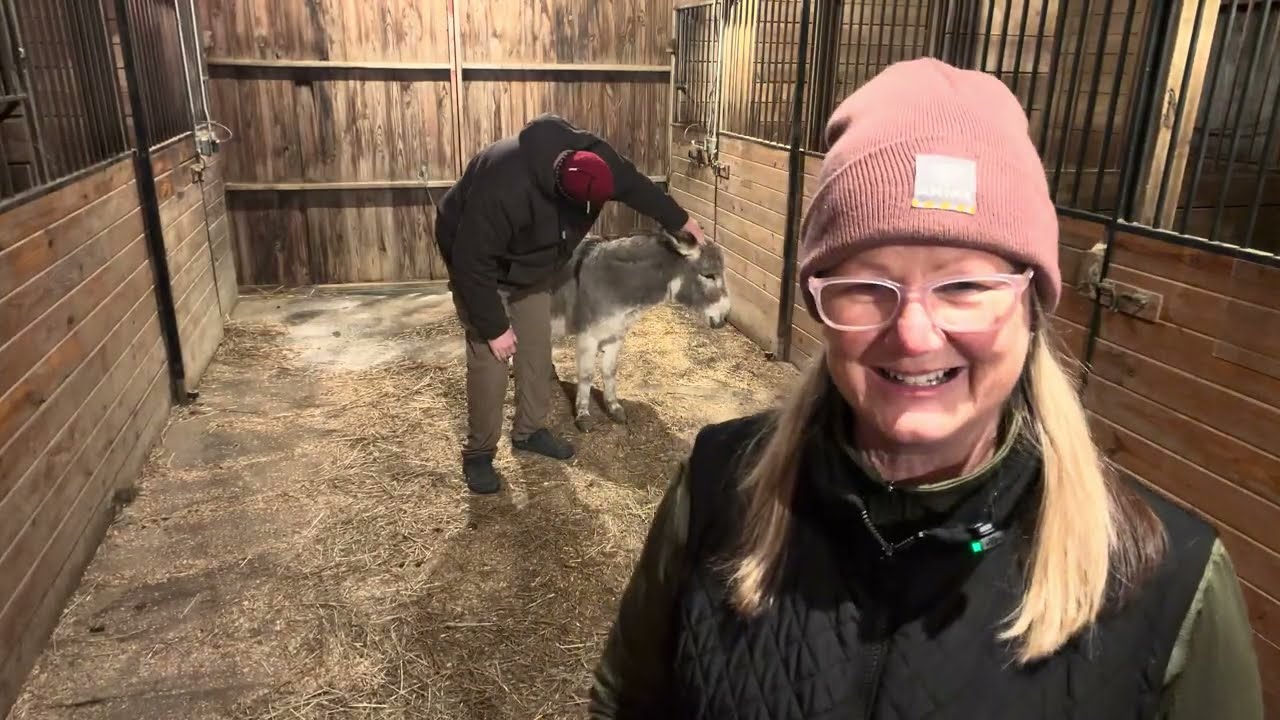 Time to feed the horses. Wednesday evening 