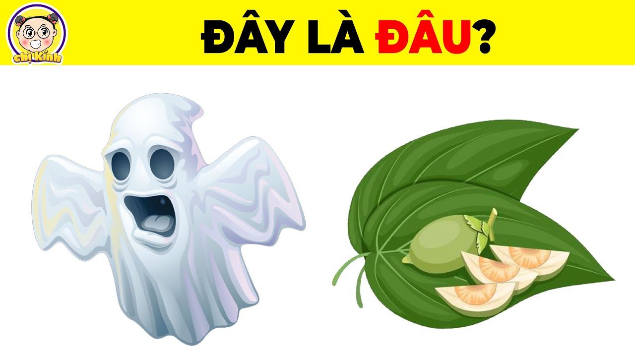 15+9 Câu Đố ĐOÁN TÊN CÁC QUỐC GIA Trên Thế Giới Bằng Trò Chơi Đuổi Hình Bắt Chữ Cực Khó #caudo