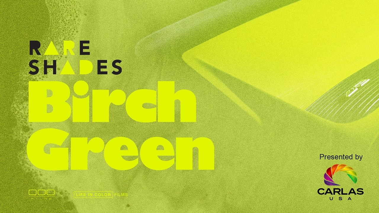 A Porsche Color That Changed The People Around It - Rare Shades: Birch (PREVIEW)
