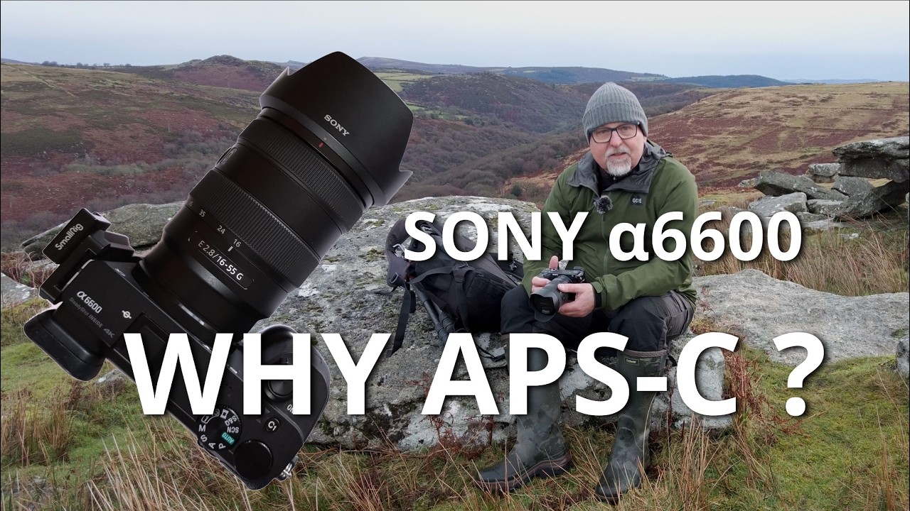 Sony A6600 Why APS-C
