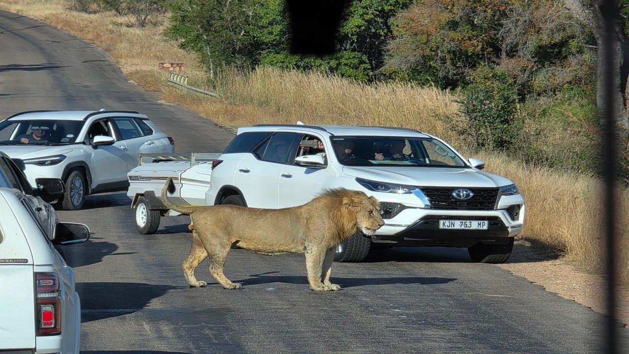Parque Nacional Kruger, Sudáfrica