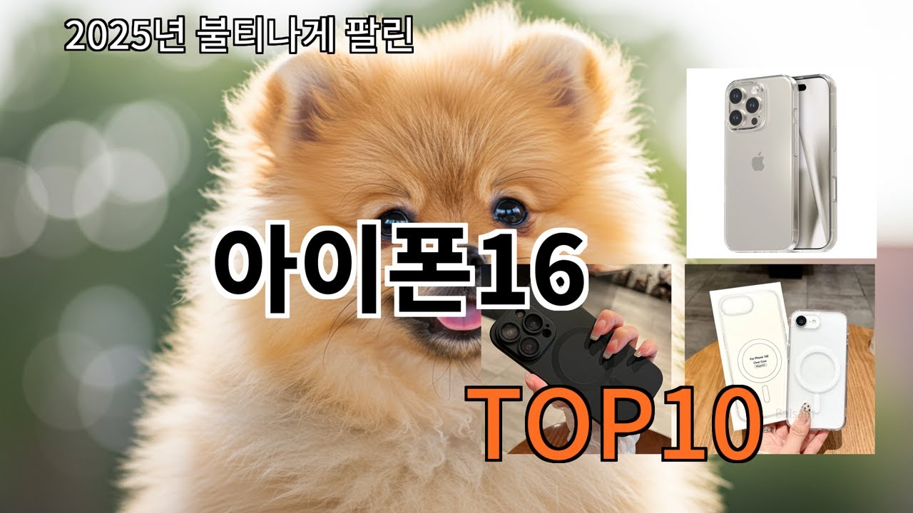 알리 아이폰16 알리에서 실패 확률 낮은 쪽