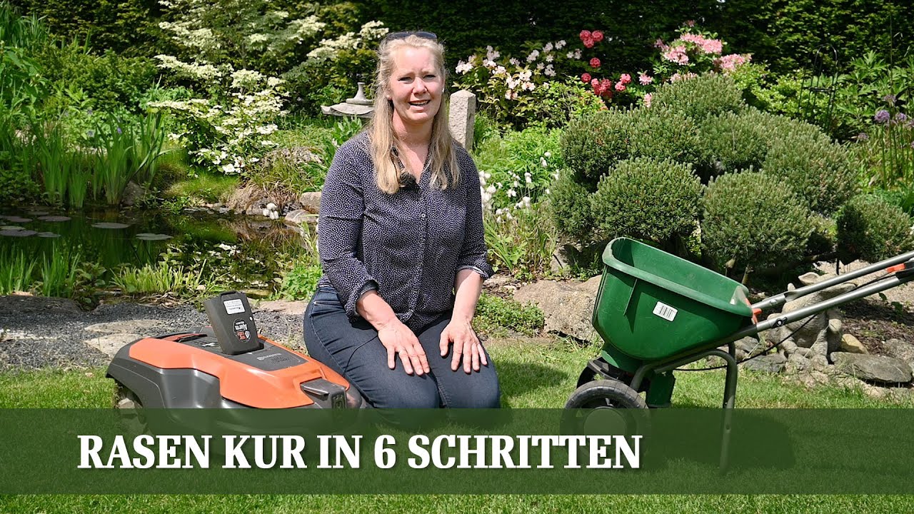 Rasen Pflege - Anleitung für das ganze Jahr in 6 einfachen Schritten