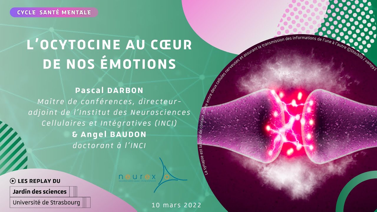 Cycle santé mentale | L'ocytocine au cœur de nos émotions | Pascal Darbon & Angel Baudon