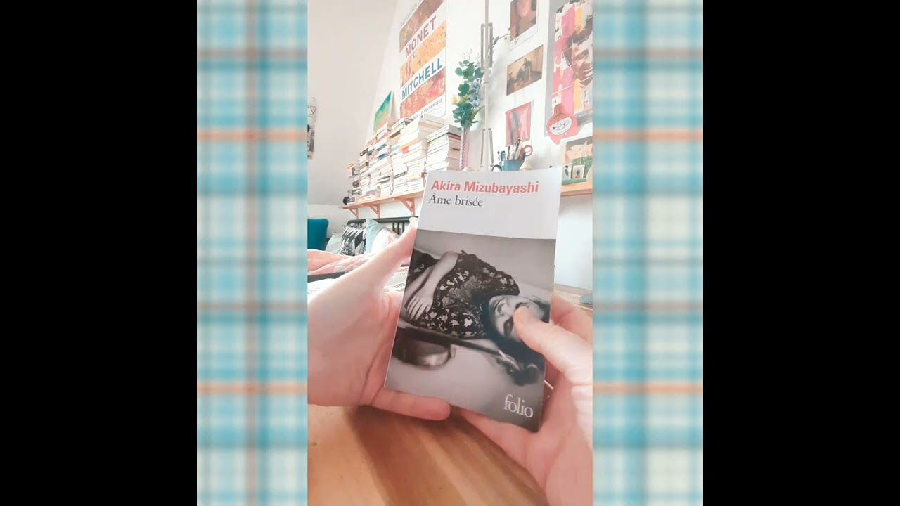 point lecture (Akira Mizubayashi ☆ Jonathan Coe & lectures en cours) #booktube