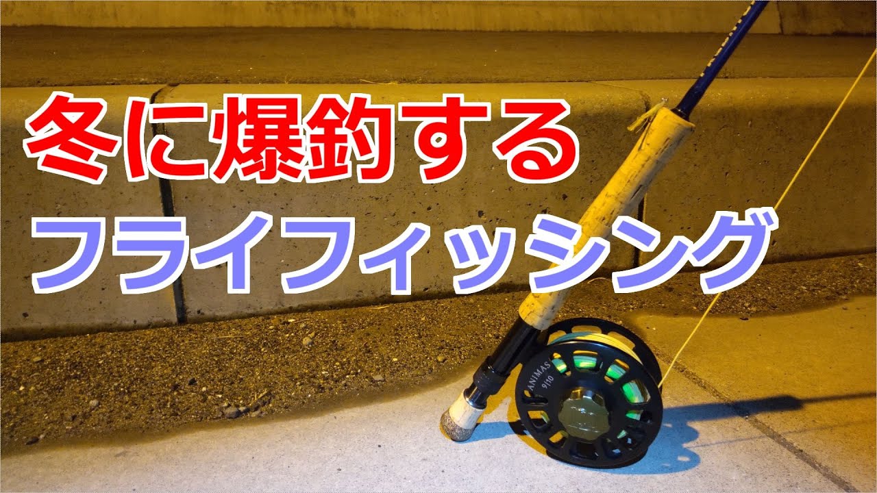 冬に爆釣するフライフィッシング