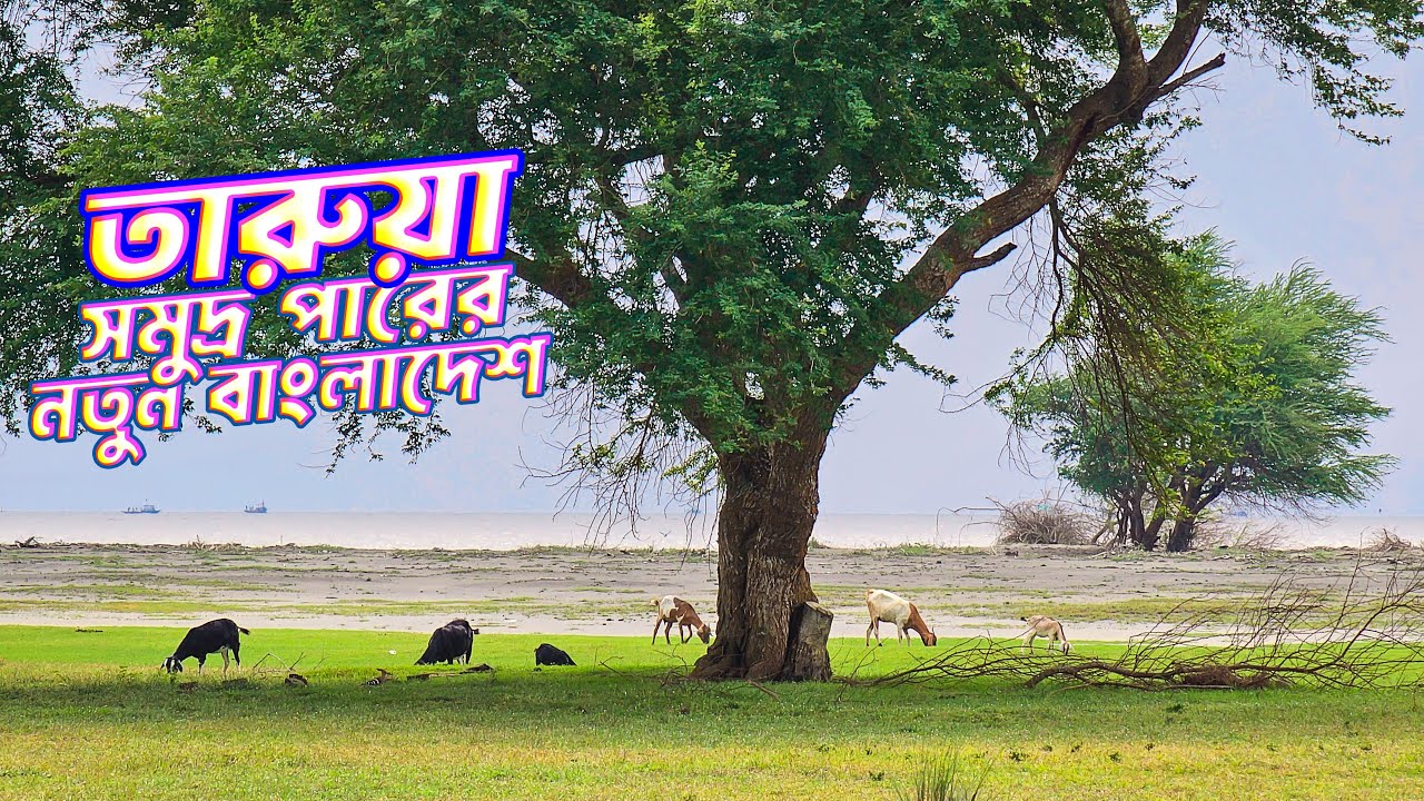 তারুয়া - সমুদ্রের বুকে এক অজানা বাংলাদেশ (পর্ব-১)