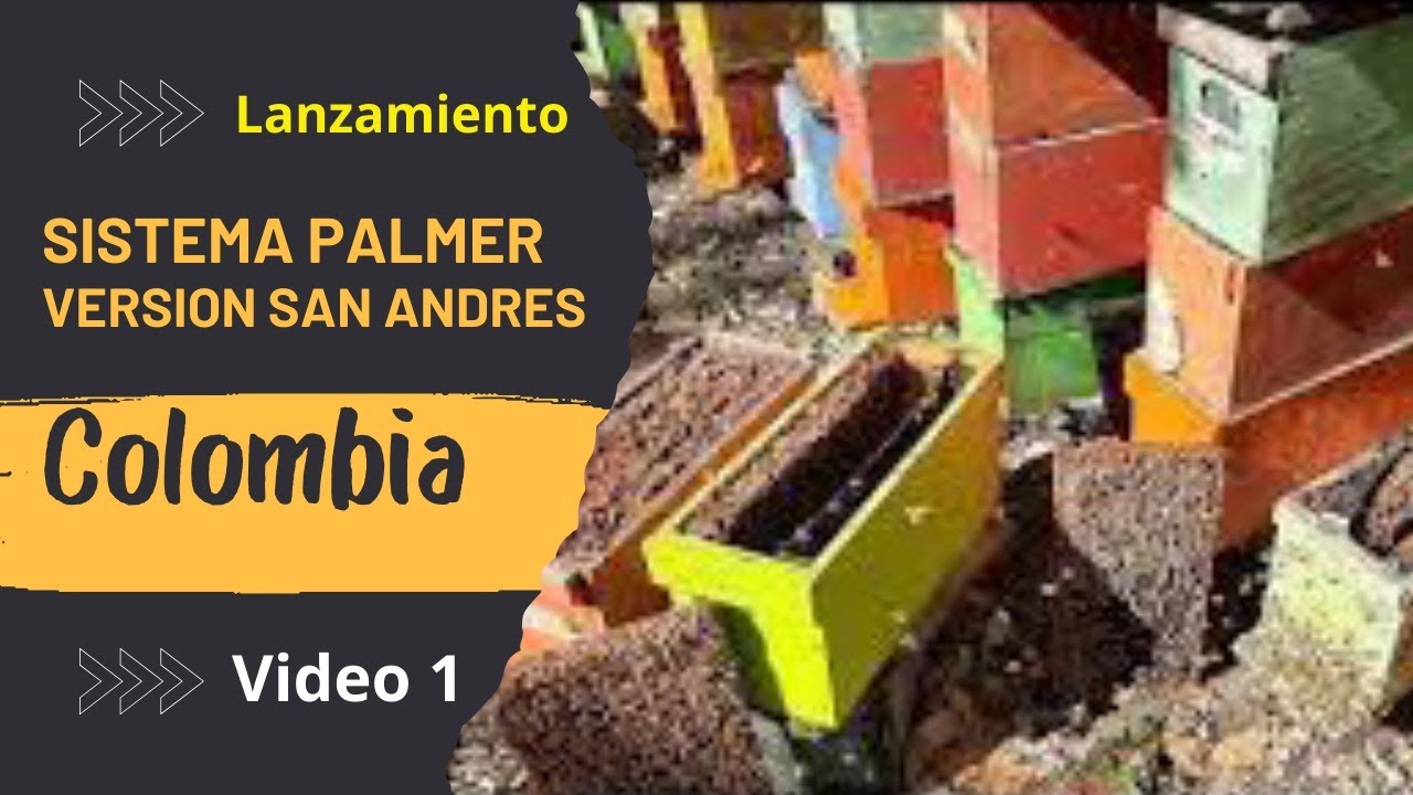 Como es el Sistema Palmer version San Andres  en Cría de abejas reinas  VIDEO 1