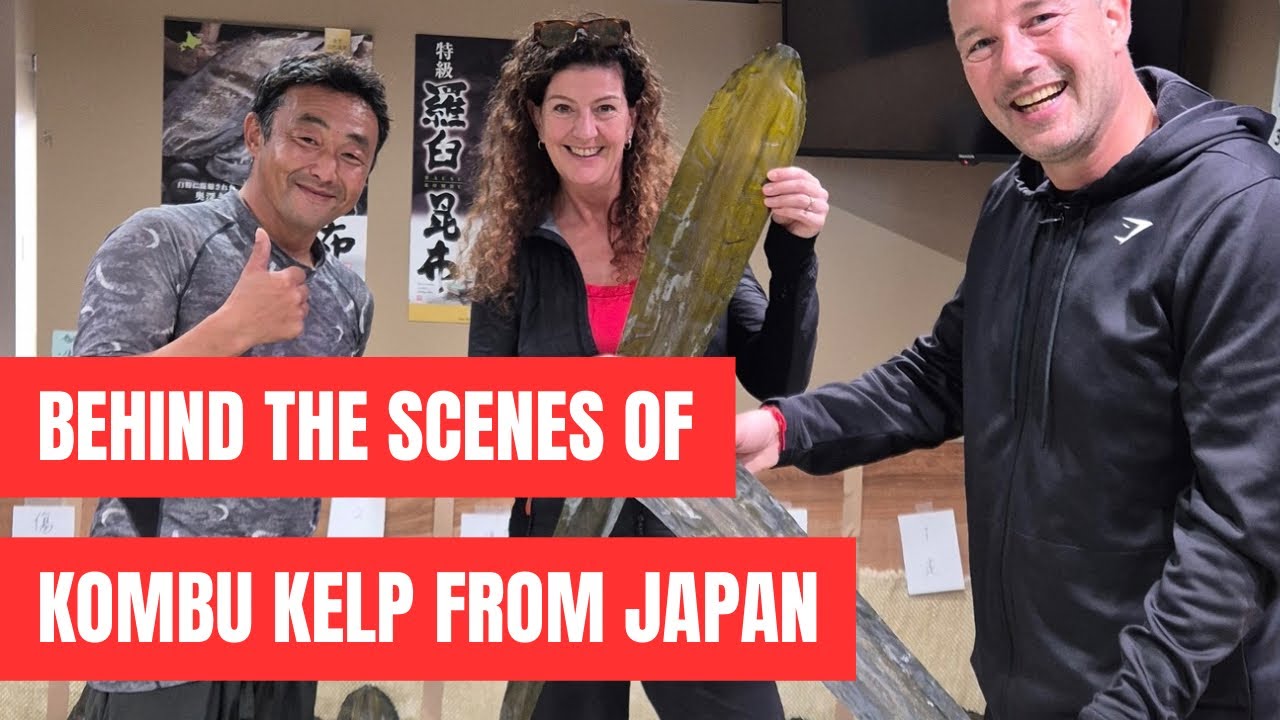Behind the scenes of Kombu kelp: Traditional Japanese seaweed harvest and umami cooking tips