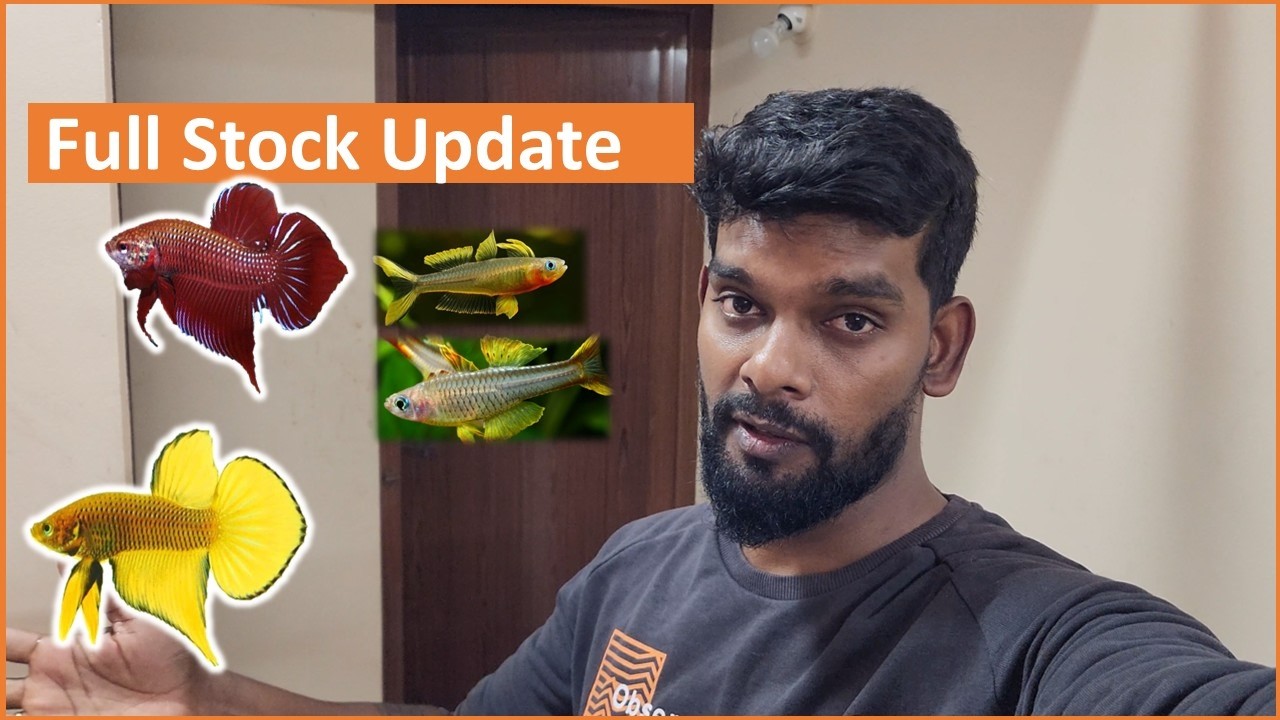 Полное обновление ассортимента и обзор номера.