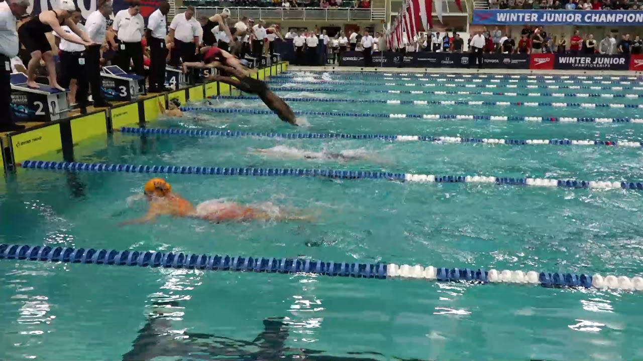 Dynamo Swim Club Determined | Women’s 200y Medley Relay Heat 2