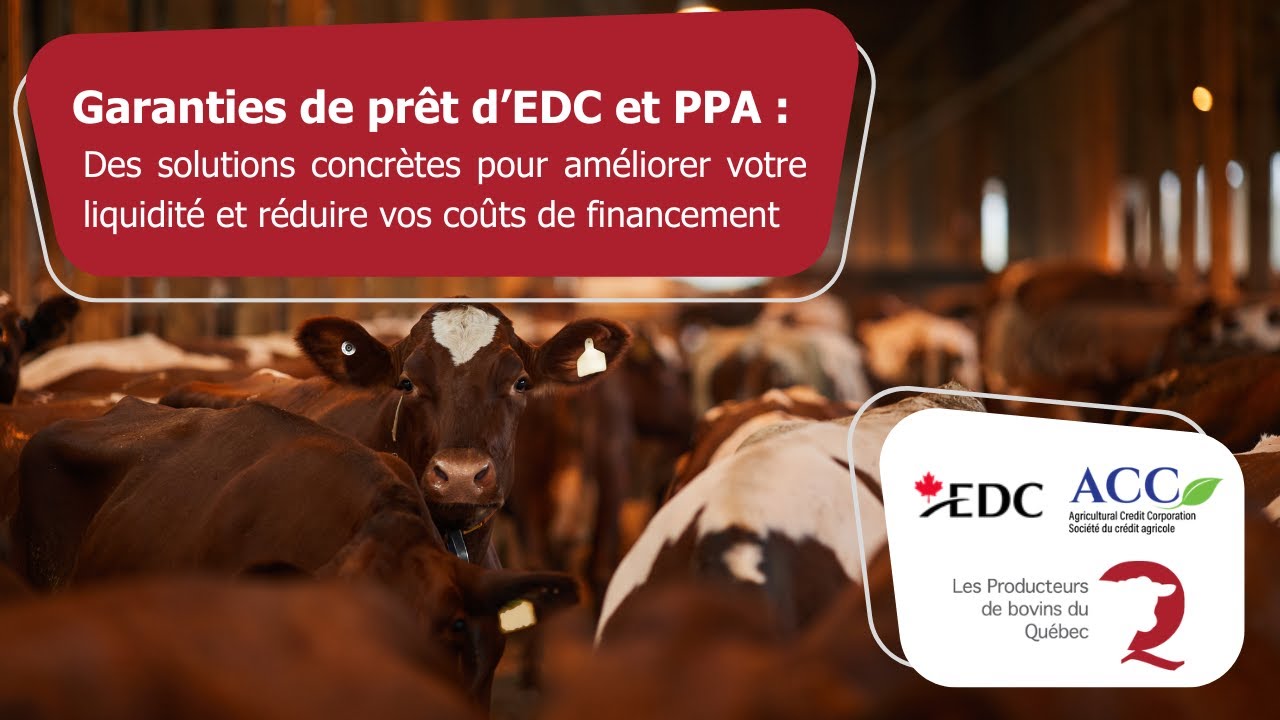 Webinaire  - Garanties de prêt d’EDC et PPA