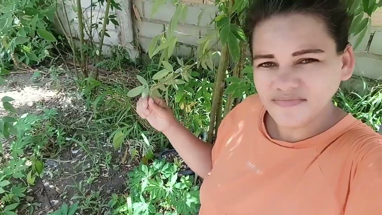mas um dia abençoado, aqui,meu povo 