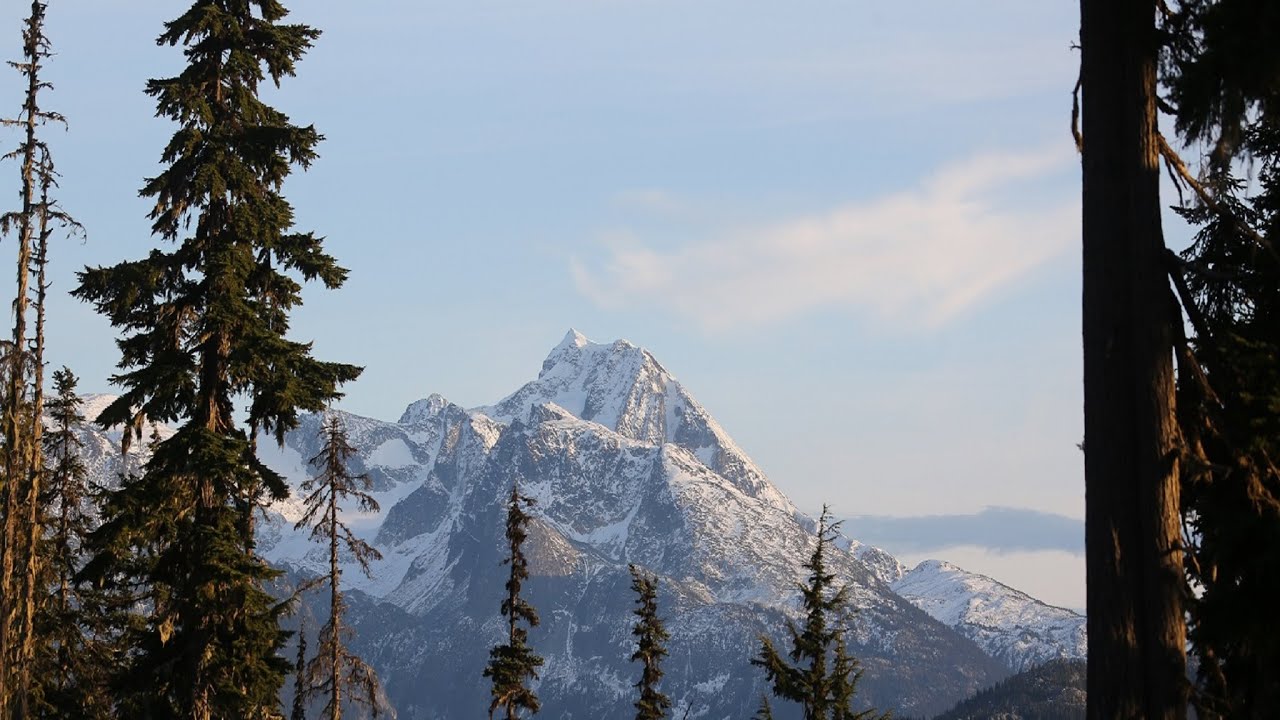 Sasquatch-Video w&auml;hrend der Kriminalermittlung aufgenommen